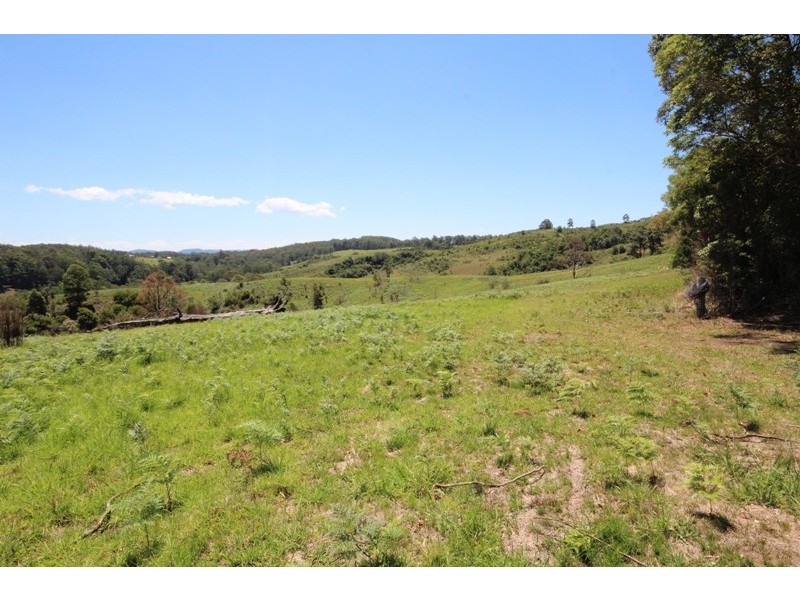 Lot 5 Tilbaroo Road, Elands NSW 2429