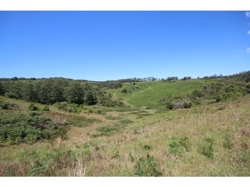 Lot 5 Tilbaroo Road, Elands NSW 2429