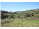 Lot 5 Tilbaroo Road, Elands NSW 2429