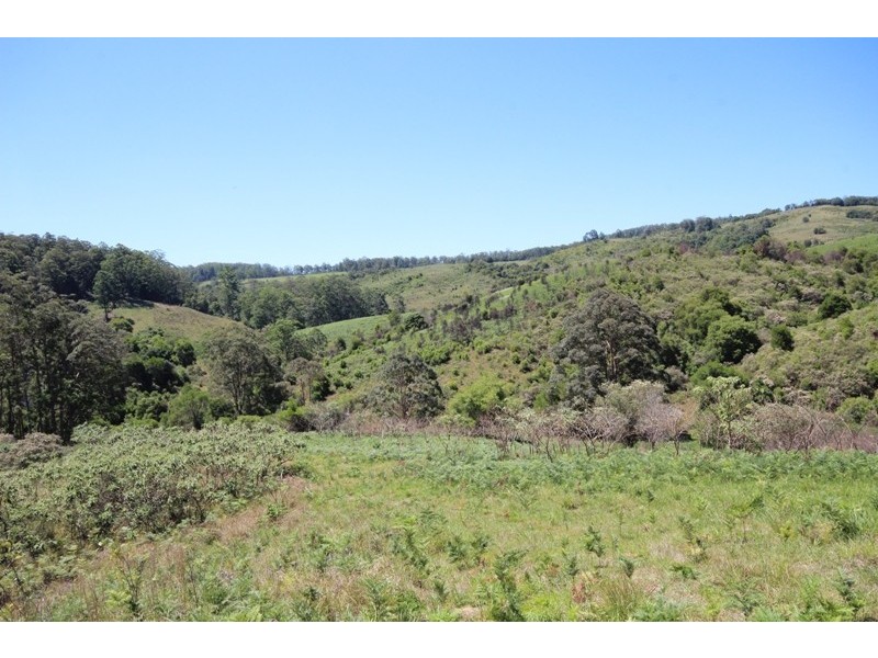 Lot 5 Tilbaroo Road, Elands NSW 2429