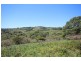 Lot 5 Tilbaroo Road, Elands NSW 2429