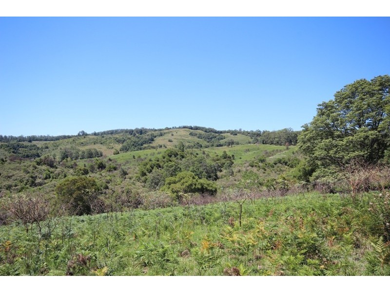 Lot 5 Tilbaroo Road, Elands NSW 2429