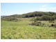 Lot 5 Tilbaroo Road, Elands NSW 2429