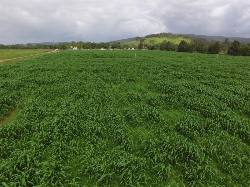 2 Locketts Crossing Road, Coolongolook NSW 2423