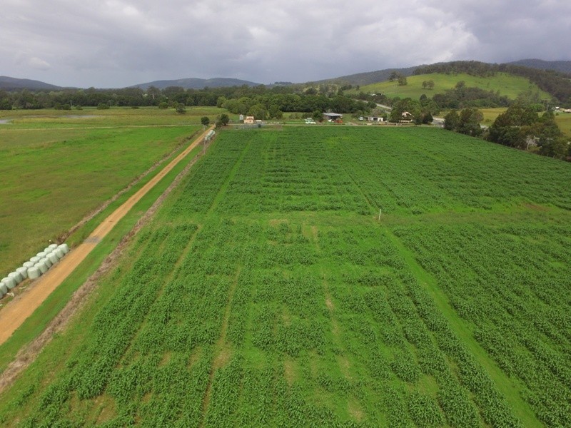 2 Locketts Crossing Road, Coolongolook NSW 2423