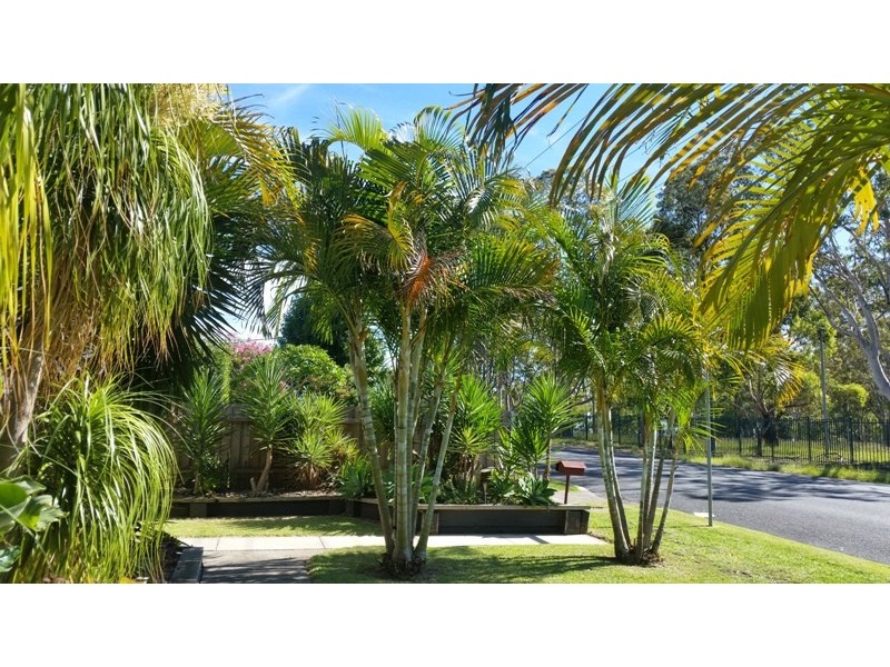 80 Oxley Street, Taree NSW 2430