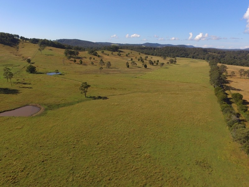 52 Kimbriki Road, Burrell Creek NSW 2429