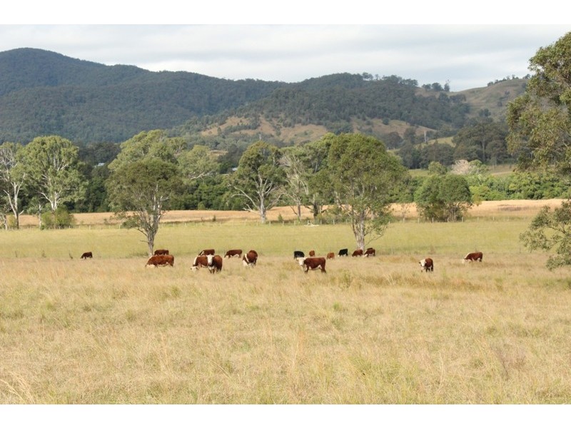 52 Kimbriki Road, Burrell Creek NSW 2429