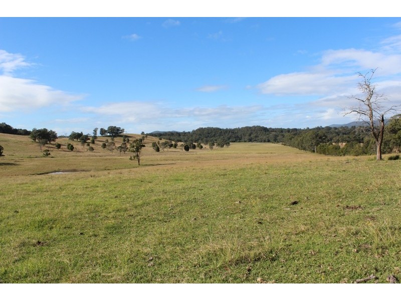 52 Kimbriki Road, Burrell Creek NSW 2429