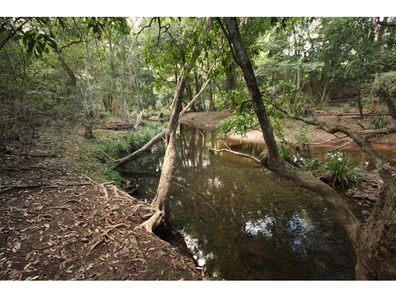 52 Kimbriki Road, Burrell Creek NSW 2429