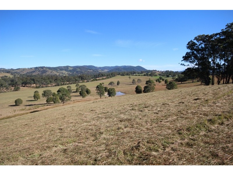 52 Kimbriki Road, Burrell Creek NSW 2429