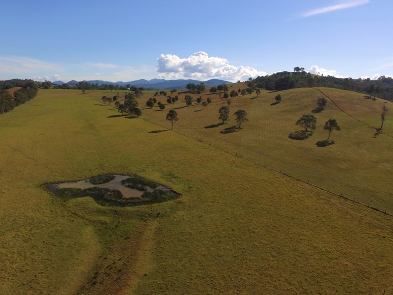 52 Kimbriki Road, Burrell Creek NSW 2429