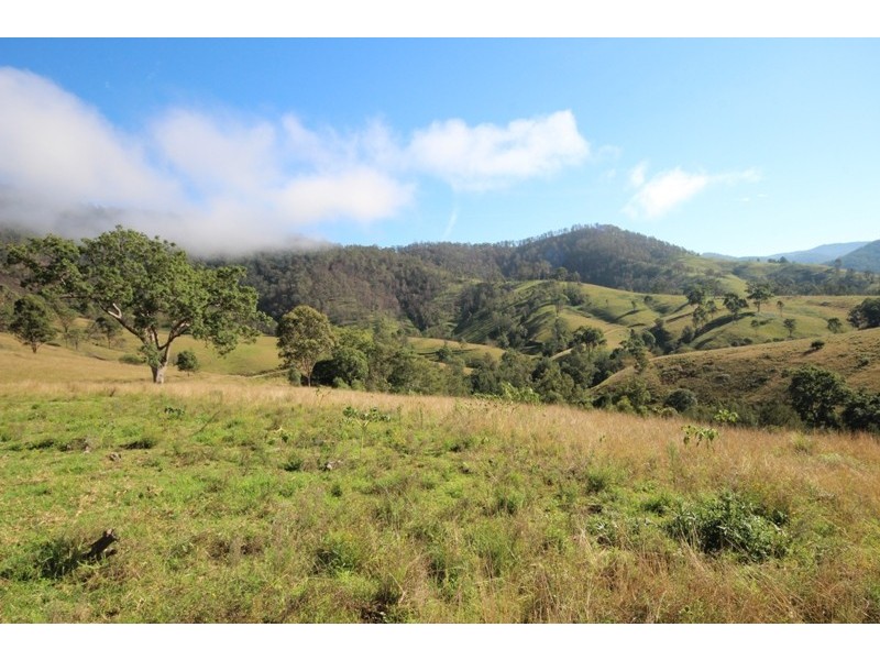 2282 Cells Road, Cells River NSW 2424