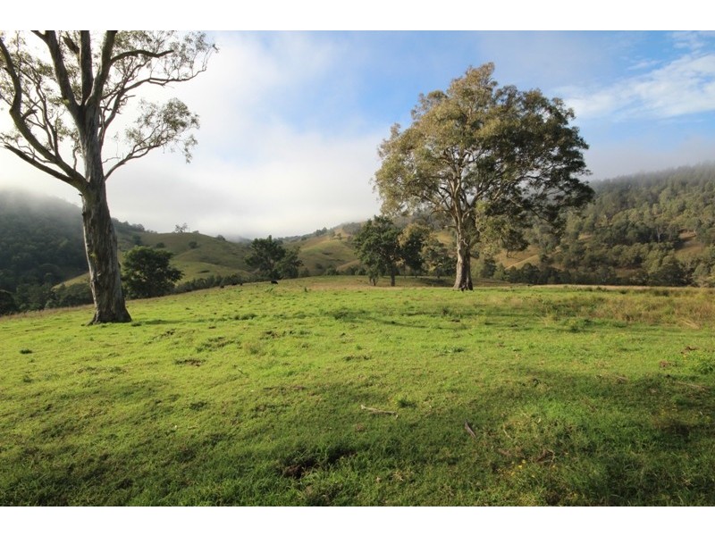 2282 Cells Road, Cells River NSW 2424