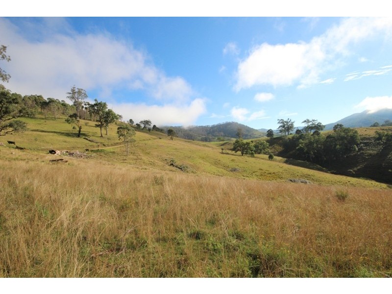 2282 Cells Road, Cells River NSW 2424