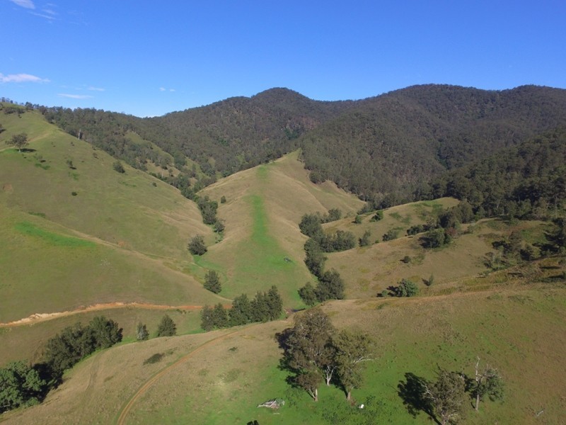 2282 Cells Road, Cells River NSW 2424