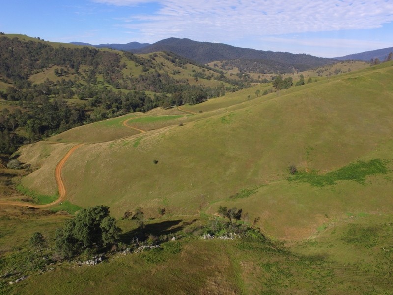 2282 Cells Road, Cells River NSW 2424