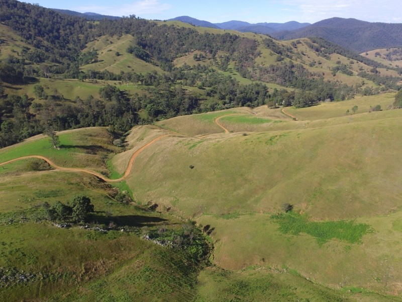 2282 Cells Road, Cells River NSW 2424