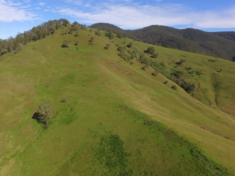 2282 Cells Road, Cells River NSW 2424