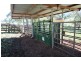 2282 Cells Road, Cells River NSW 2424