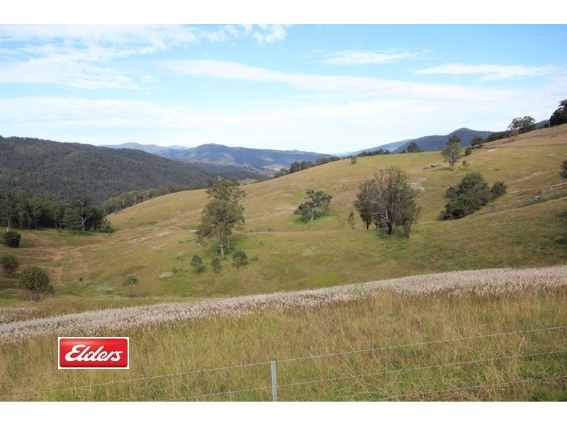 2961 Cells Road, Cells River NSW 2424