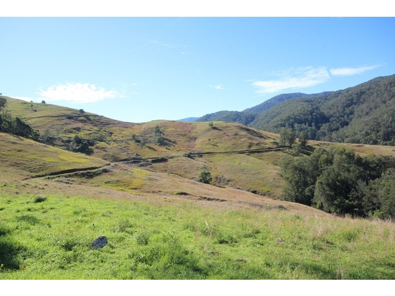 2961 Cells Road, Cells River NSW 2424