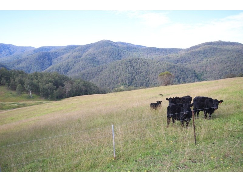 2961 Cells Road, Cells River NSW 2424