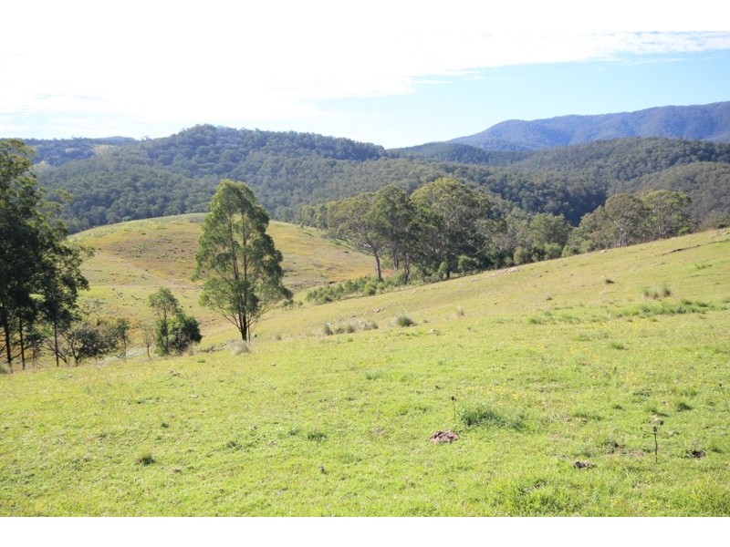 2961 Cells Road, Cells River NSW 2424