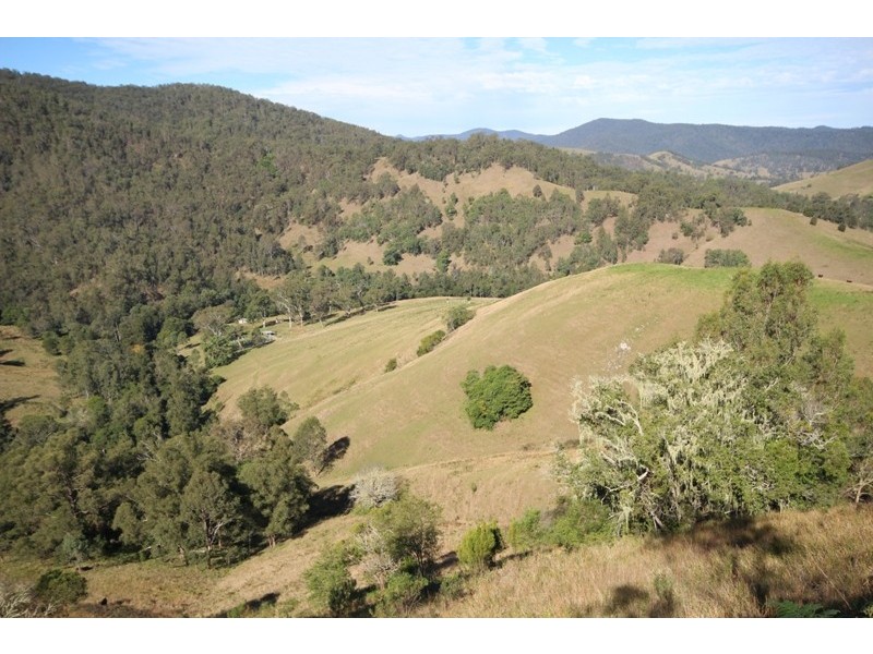 2961 Cells Road, Cells River NSW 2424