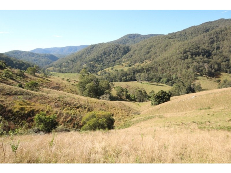 2961 Cells Road, Cells River NSW 2424