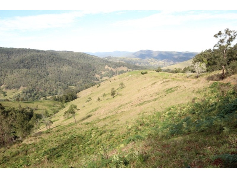 2961 Cells Road, Cells River NSW 2424