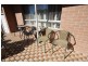 1 Hillcrest Close, Taree NSW 2430