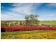 14 Bungay Road, Wingham NSW 2429