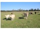 15 Old Bridge Road, Jones Island NSW 2430