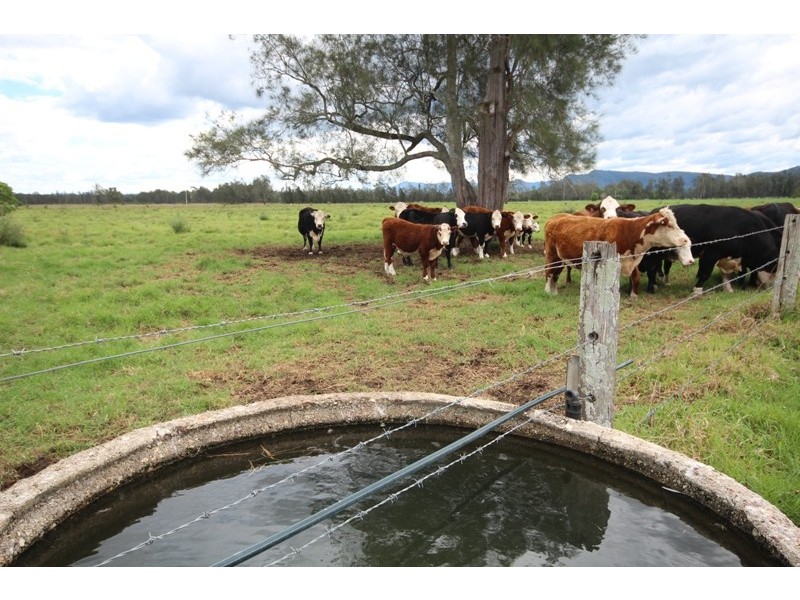 380 North Moto Road, Moto NSW 2426