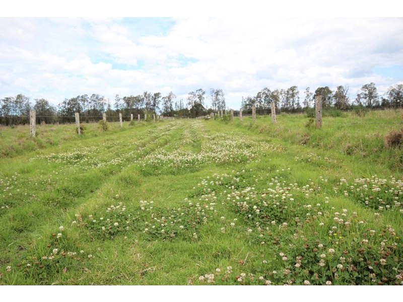 380 North Moto Road, Moto NSW 2426