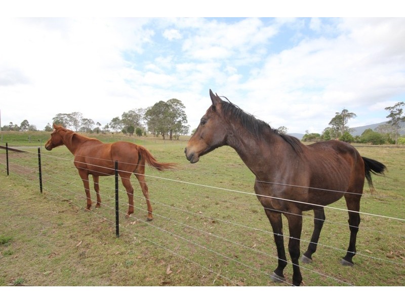 25 Bo Bo Creek Road, Burrell Creek NSW 2429