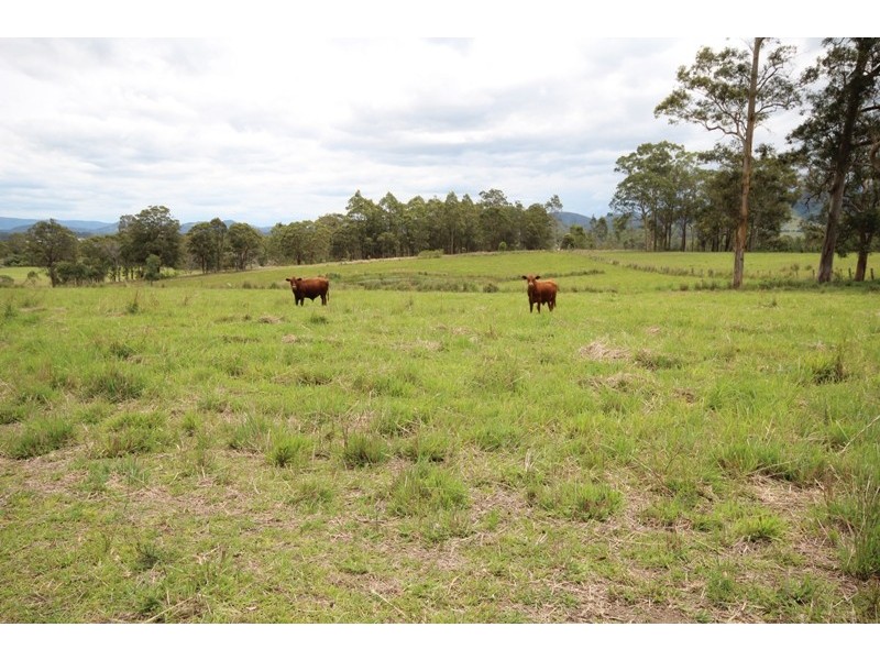 94 Youngs Road, Wingham NSW 2429