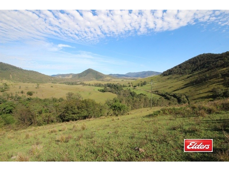 4252 Nowendoc Road, Number One NSW 2424