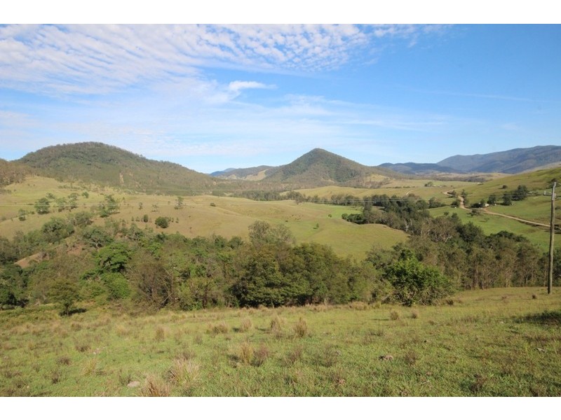 4252 Nowendoc Road, Number One NSW 2424