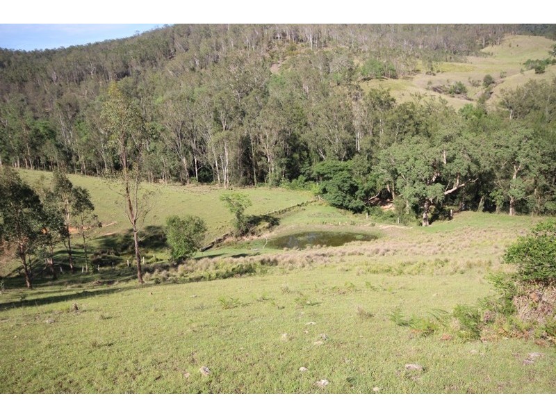 4252 Nowendoc Road, Number One NSW 2424