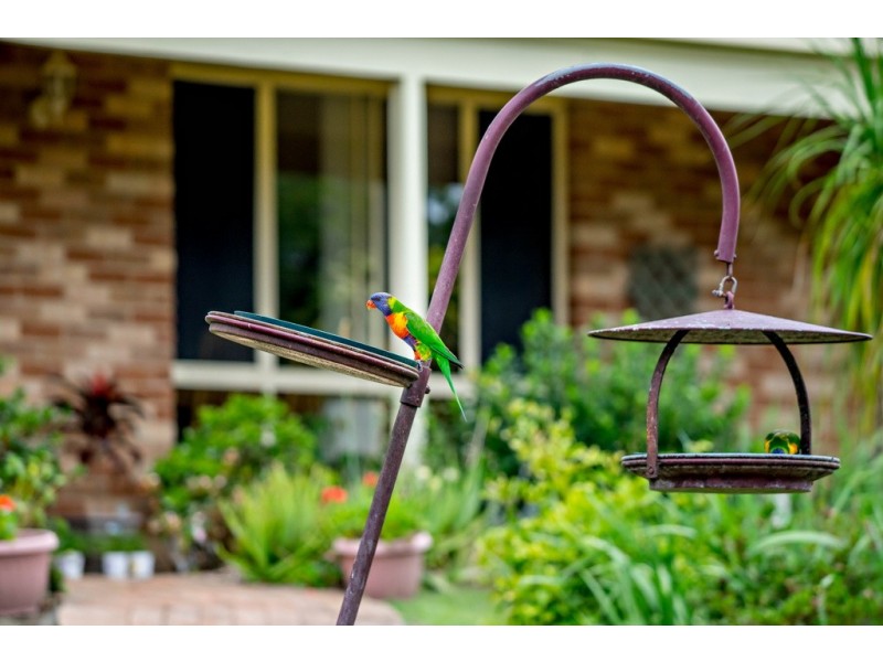 3 Abbotts Falls Road, Wingham NSW 2429