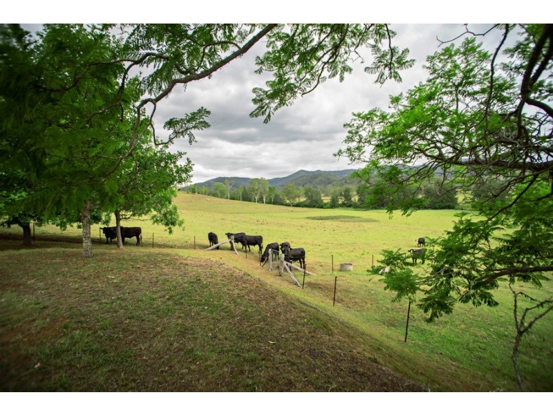 1015 Wherrol Flat Road, Wherrol Flat NSW 2429