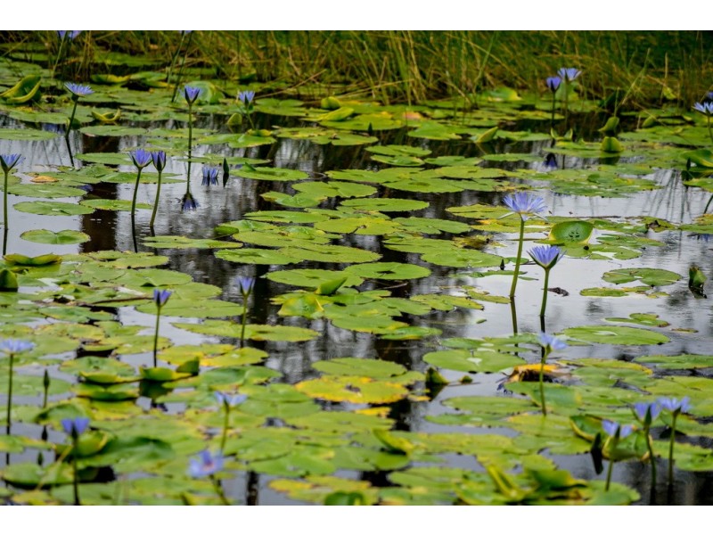 6430 Bucketts Way, Tinonee NSW 2430