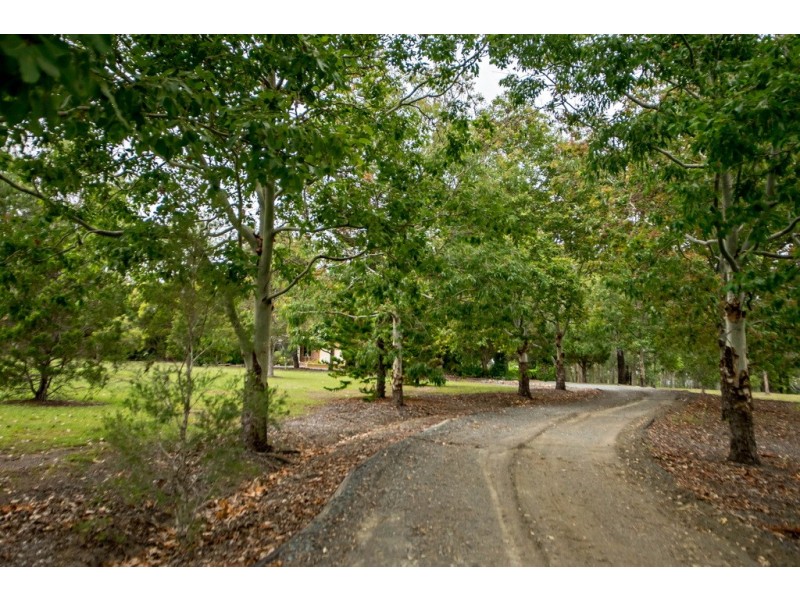 6430 Bucketts Way, Tinonee NSW 2430