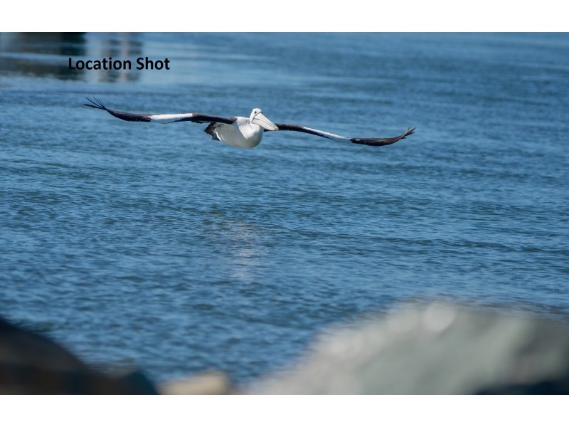 113 Beach Street, Harrington NSW 2427