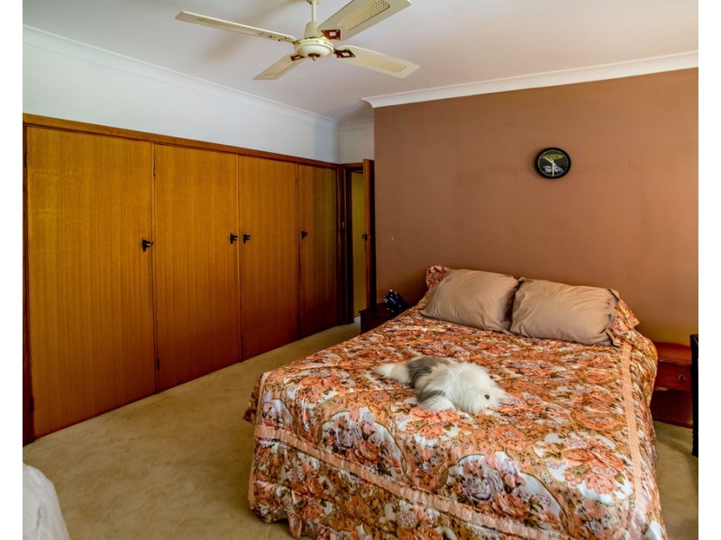 16 Cottonwood Street, Taree NSW 2430