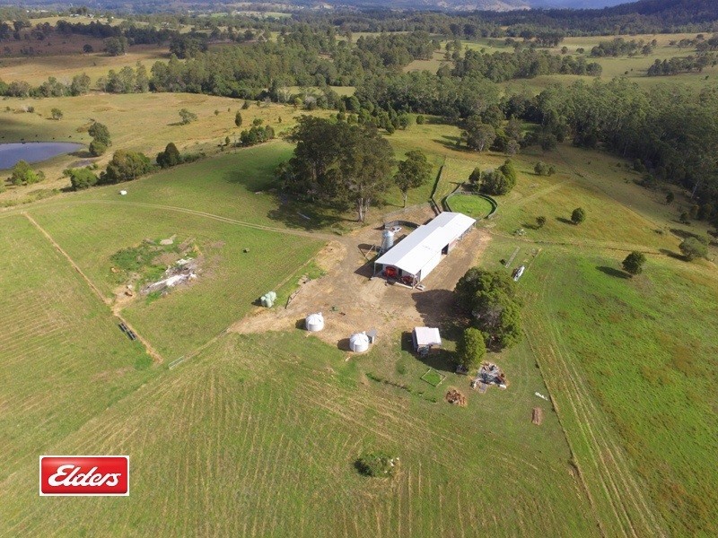 Wingham NSW 2429