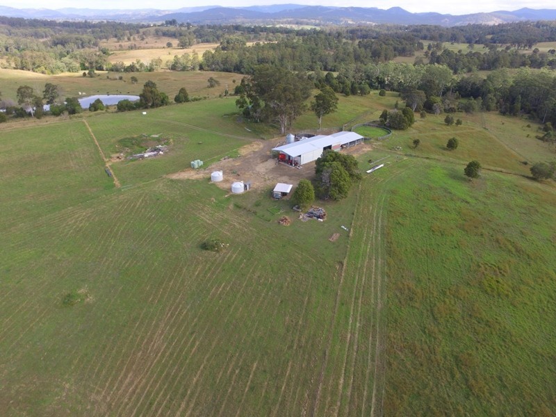Wingham NSW 2429