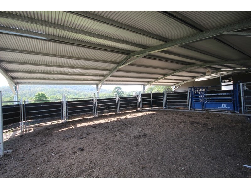 Wingham NSW 2429